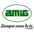 AMIG